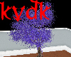 Dark purple leaved tree