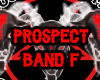 LMMC. Prospect Band F