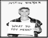 What Do You Mean -JB.