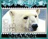 I love Polar Bear