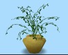 Plant in gold pot