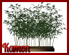 MK| Japansese Bamboo