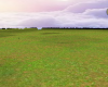 open feild
