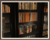 Arcane Bookshelf
