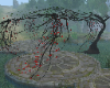 Tree red