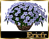 [Efr] Flower Basket 2