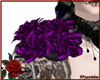 purple roses R