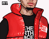 ð¥. North Red Puffer