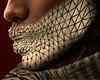 Tygre beard DRV