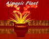 A/Magic Plant Pot