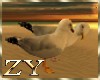 ZY: Couple Seagulls