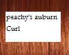Peachy's Auburn curl