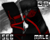 |S  Air Jordan v3