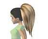 Dark Blonde Pony Tail