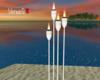 Fabulous Torch