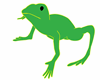 The Frog Avatar