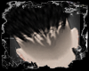 [ X ]