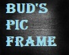 BUD'S PIC FRAME