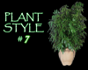 (IKY2) PLANT STYLE # 7