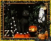 ZY:  The Cat & Pumpkin