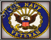 USA Navy Sticker