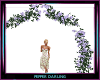 Lilac / Purple Rose Arch