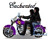 Purple Motorcycle