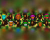 Baby Milo