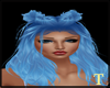 blue hair with puffs
