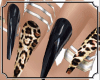 LeopardBlack Nails+Rings