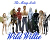 Wild Willie Faces