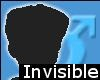 The Invisible Avatar