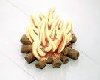 Sound FX - Campfire