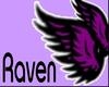 Raven MiniWings