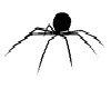 Black Spider No Pose