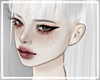 ✦ Archer