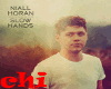 NIALL HORAN - SLOW HANDS