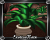 (E)Coffee Shop: Plant