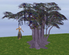 FCS Tree Swing ll Purple