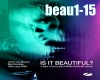 is it beautiful armin