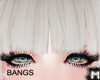 M' Bangs Albino Grey
