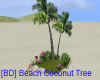 [BD] Beach Coconut Tree