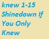 Shinedown If U Only Knew