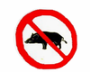 Sign No Pig