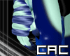 [C.A.C] Aresial Warmer F