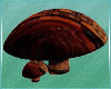 Mushrooms Wood Seat