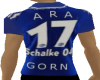Schalke04-ARA