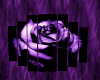 Purple Rose Poster