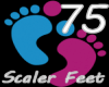 Scaler Feet 75
