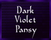 D. Violet Pansy